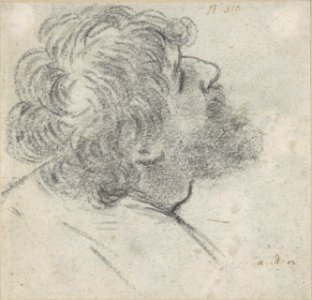 Head of a Bearded Man Looking to Upper Right (recto); Head of an Old Man and a Drapery Study (verso) MET DP809056