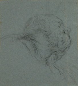 Head of a Bearded Man Looking to Upper Right MET 63.118