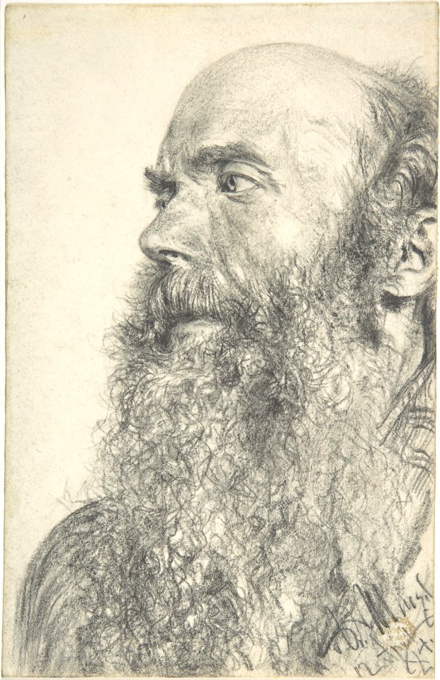 Head of a Bearded Man MET DP803851