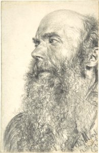 Head of a Bearded Man MET DP803851