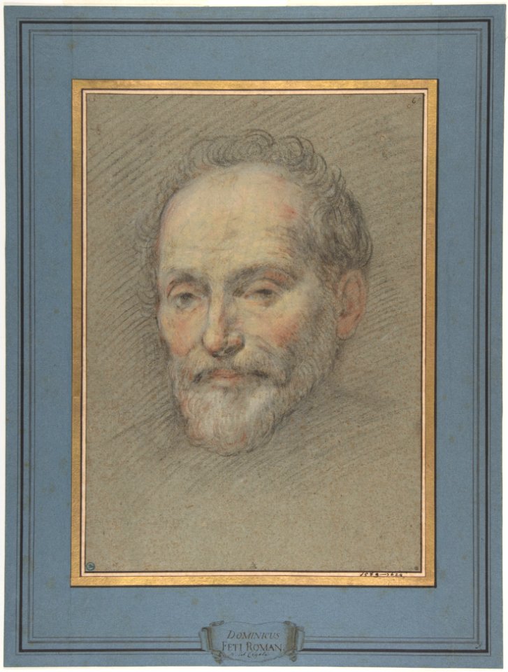 Head of a Bearded Man MET DP801327