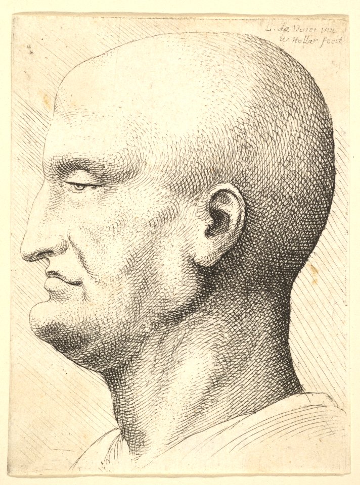 Head of a bald man in profile to left MET DP823701