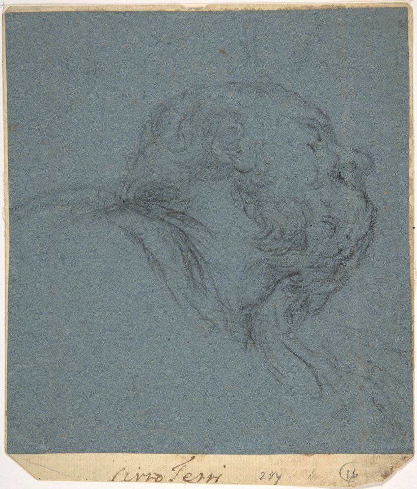 Head of a Bearded Man Looking to Upper Right MET DP809492