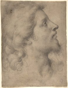 Head of a Bearded, Young Man in Profile Facing Right MET DP808035