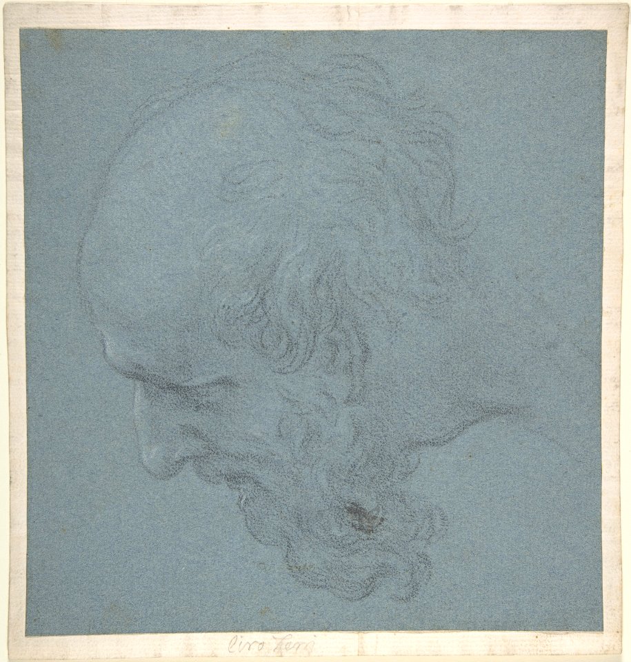 Head of a Bearded Man Looking to Upper Left MET DP809488
