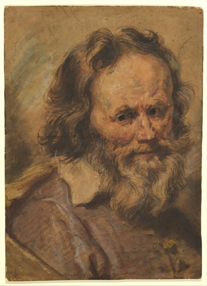 Head of a Bearded Man MET DP820597