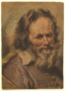 Head of a Bearded Man MET DP820597