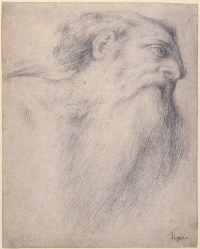 Head of a Bearded Man MET 1996.413