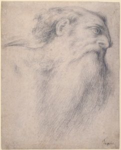 Head of a Bearded Man MET 1996.413