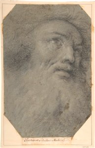 Head of a Bearded Man, Looking up to the Right MET DP801529