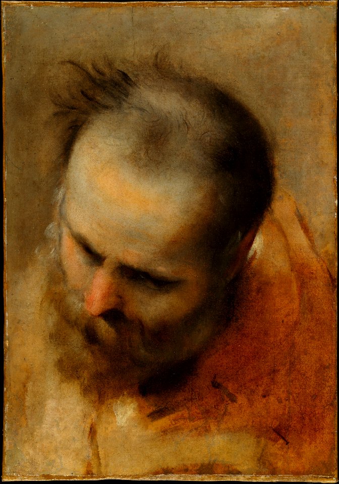 Head of a Bearded Man Looking to Lower Left (Nicodemus) MET DT10232
