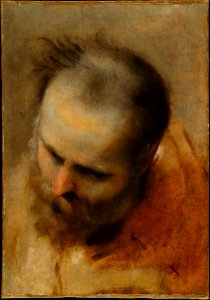 Head of a Bearded Man Looking to Lower Left (Nicodemus) MET DT10232