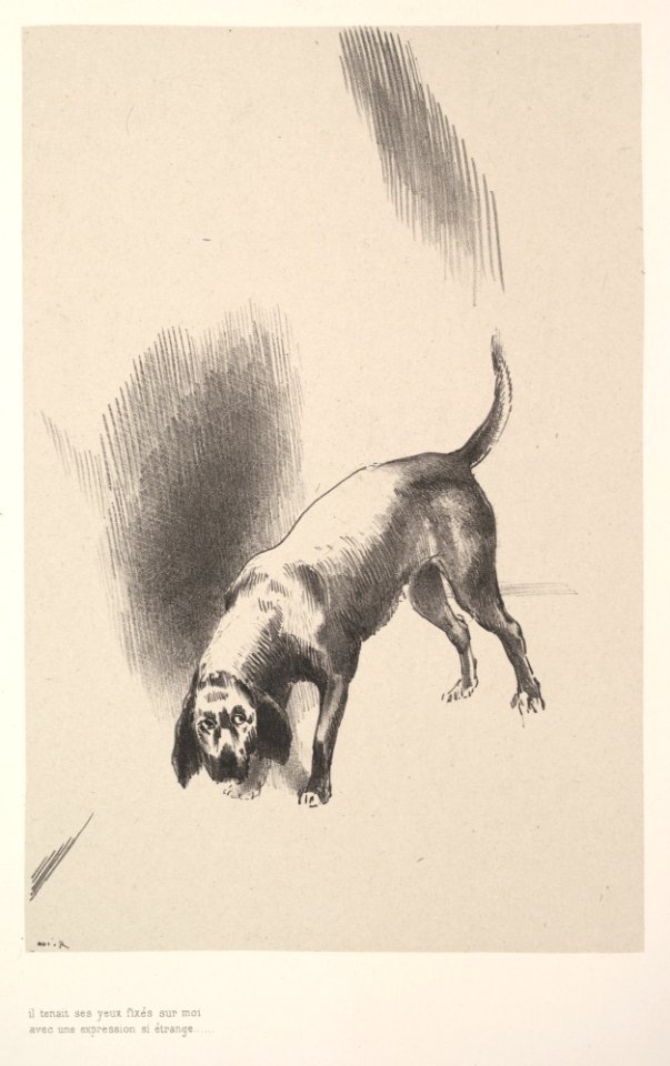 He fixed his eyes on me with an expression that was so strange MET DP824910