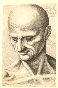 Head of a bald, sinewy man looking downwards MET DP823715