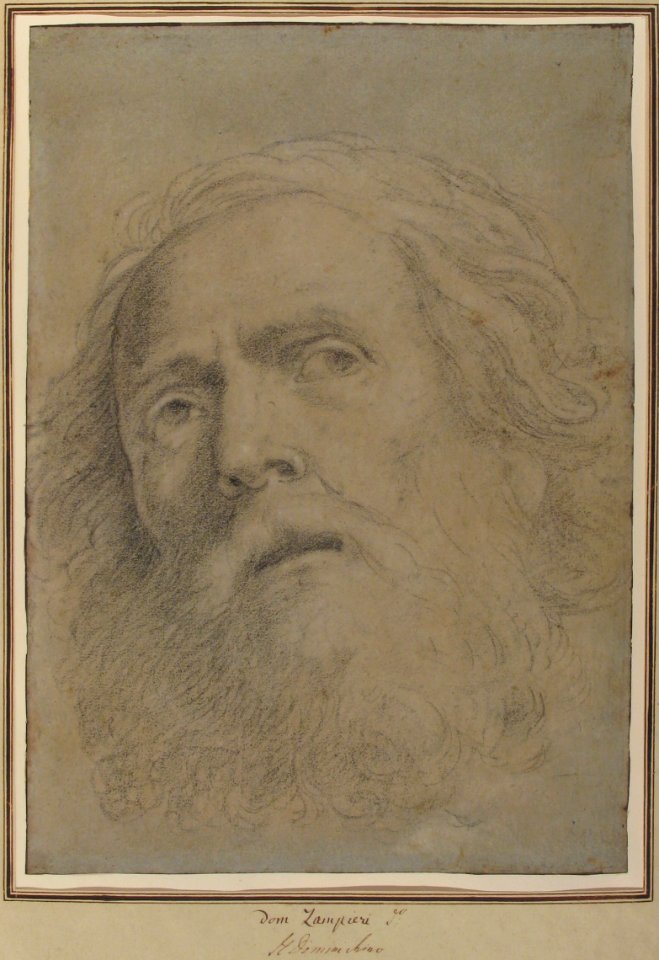Head of a Bearded Man. MET 1994.183