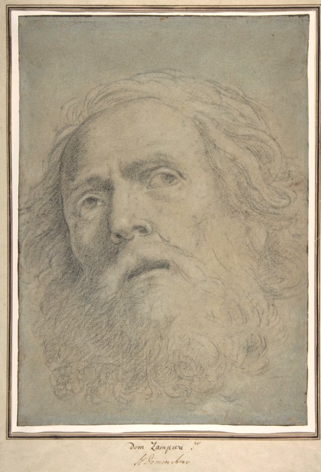 Head of a Bearded Man. MET DP809433