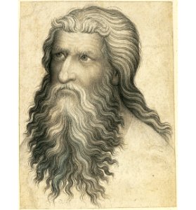 Head of a Bearded Man MET 2003.29