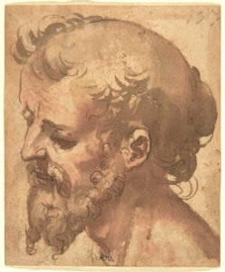 Head of a Bearded Man MET DP802130