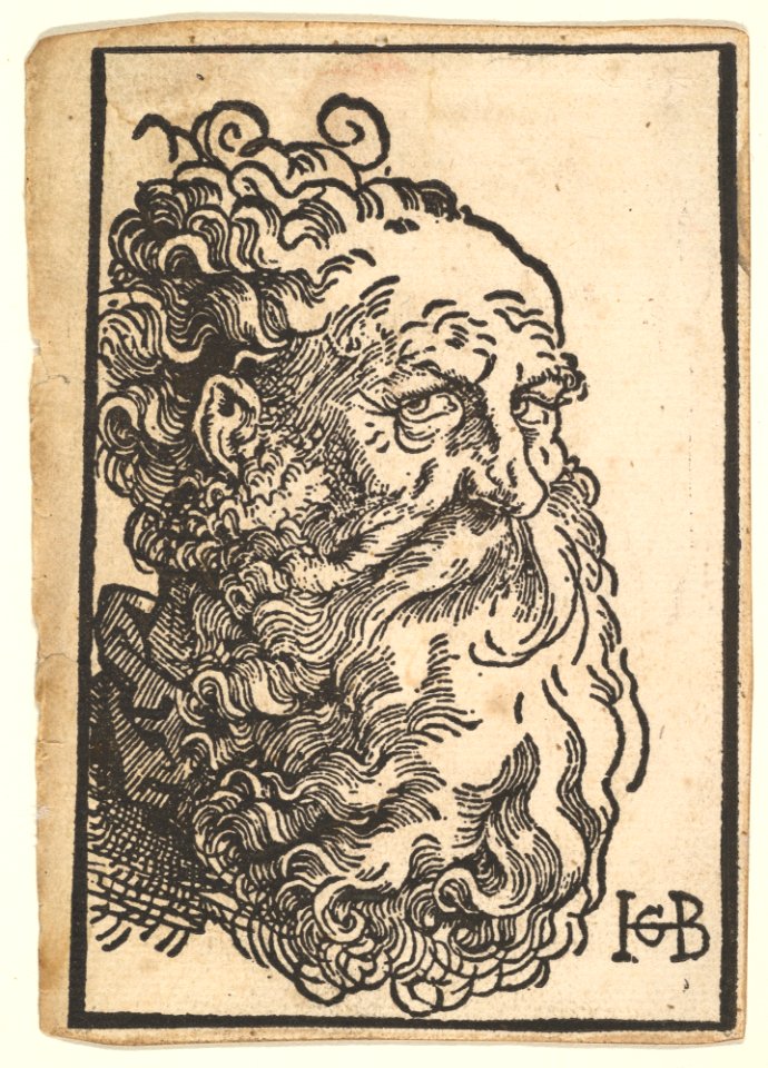 Head of a Bearded Man MET DP826738