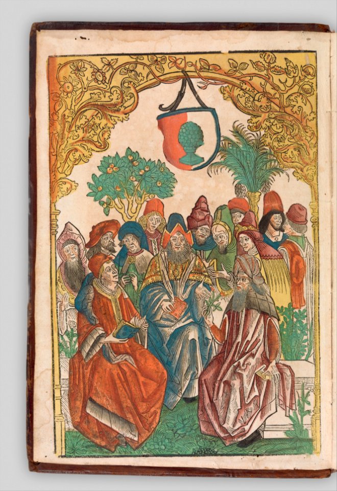Herbarius - Gart der gesuntheit - Hortus sanitatis MET DP327840
