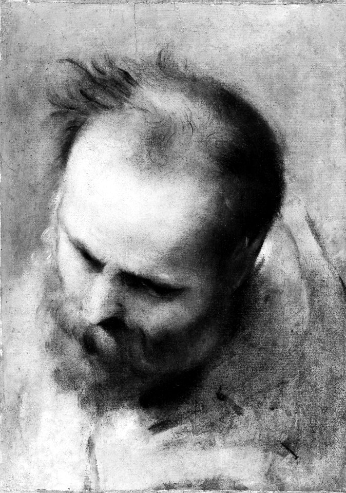 Head of a Bearded Man Looking to Lower Left (Nicodemus) MET ep1976.87.1.bw.R