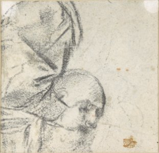 Head of a Bearded Man Looking to Upper Right (recto); Head of an Old Man and a Drapery Study (verso) MET DP809057