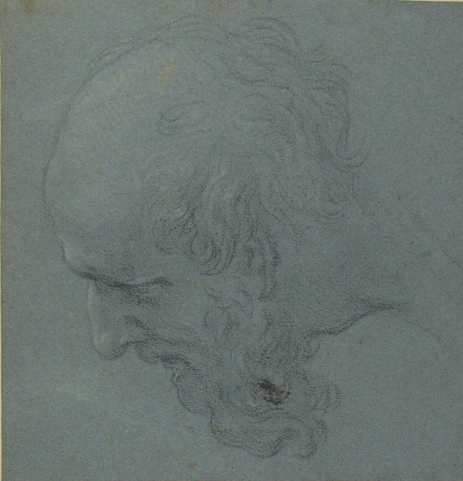 Head of a Bearded Man Looking to Upper Left MET 62.149