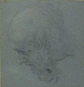 Head of a Bearded Man Looking to Upper Left MET 62.149