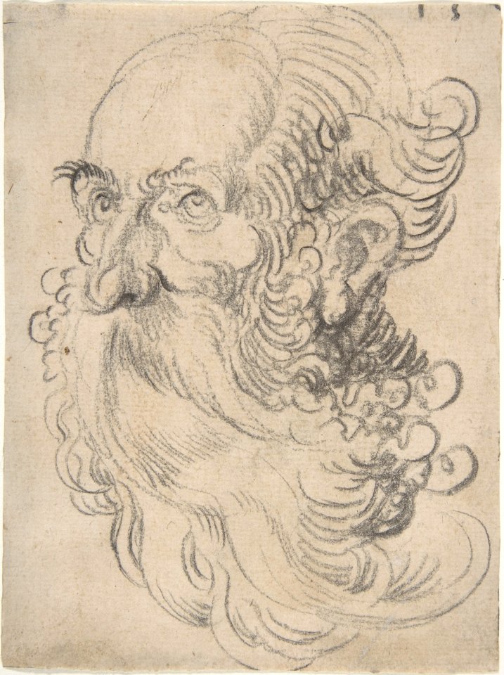 Head of a Bearded Old Man MET DP802885