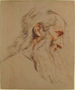 Head of a Bearded Man MET 1984.311