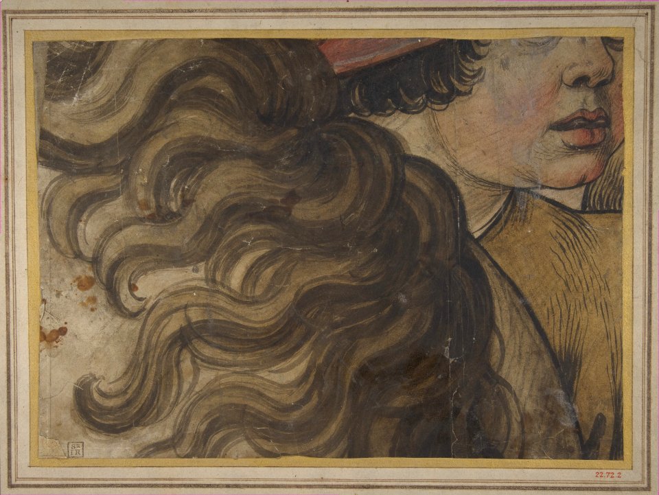 Head of a boy and section of a horse's mane MET DP811334