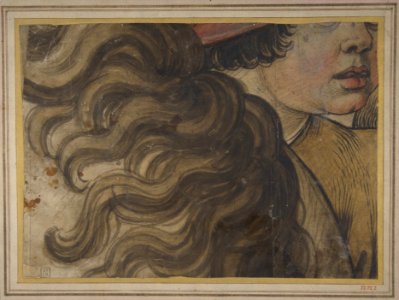Head of a boy and section of a horse's mane MET DP811334