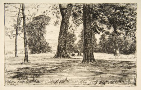 Greenwich Park MET DP813289