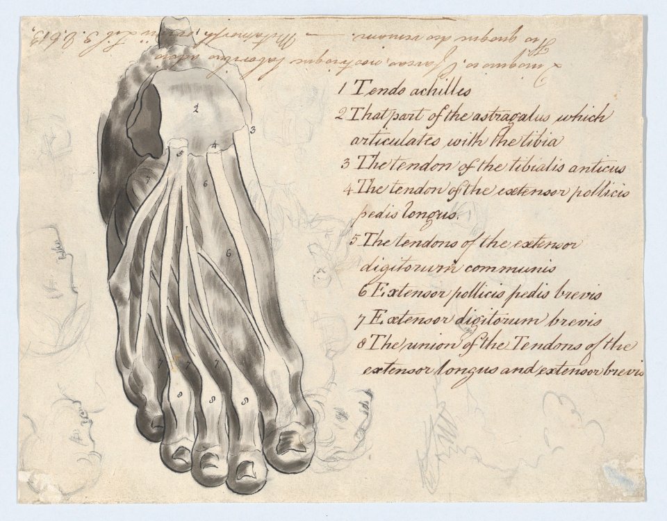 Historical Subject with Men and a Boy Near a Ship (recto); Anatomical Study of a Foot (verso) MET DP866798