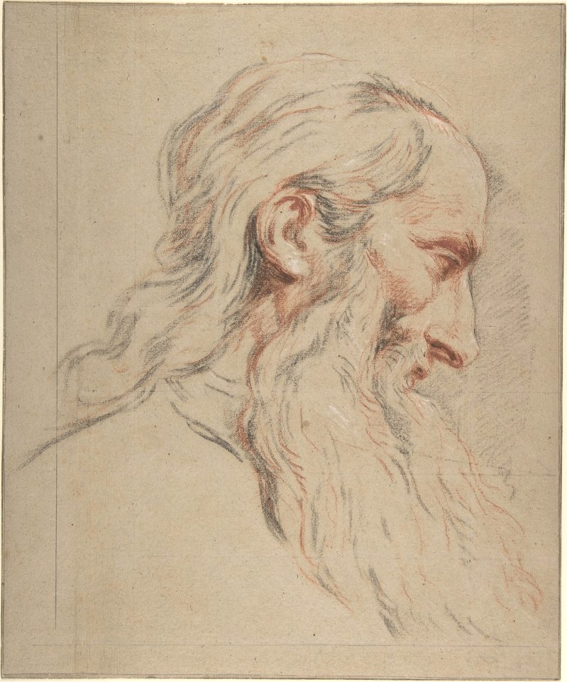 Head of a Bearded Man MET DP808065