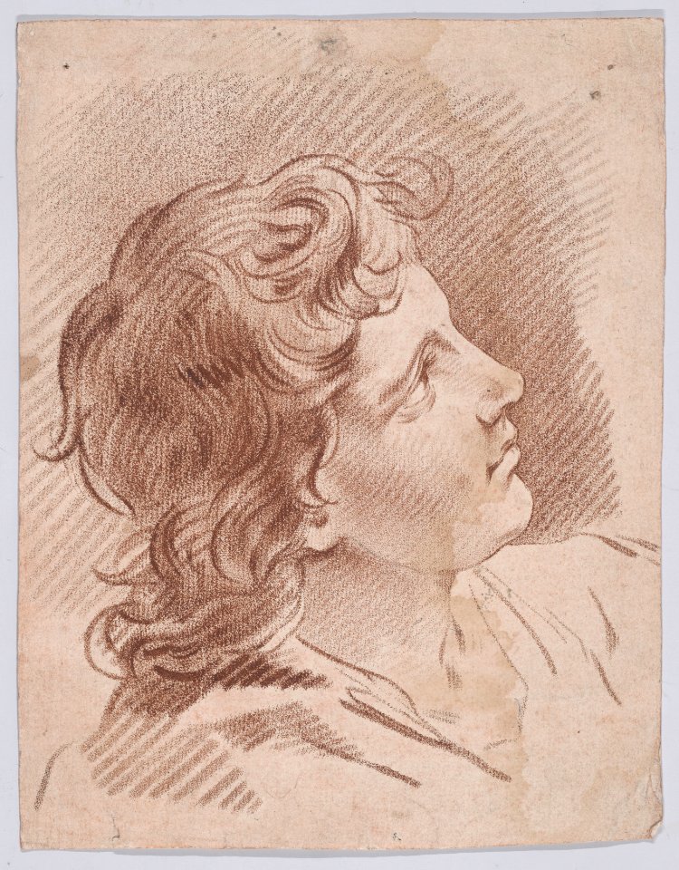 Head of a Young Man Met DP889542