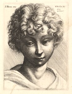 Head of a young girl MET DP823779