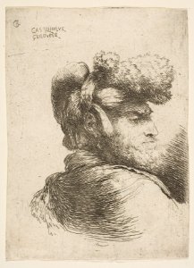 Head of a bearded Man with a Turban, facing Right MET DP816531