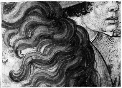 Head of a boy and section of a horse's mane MET 008.2R2 54H