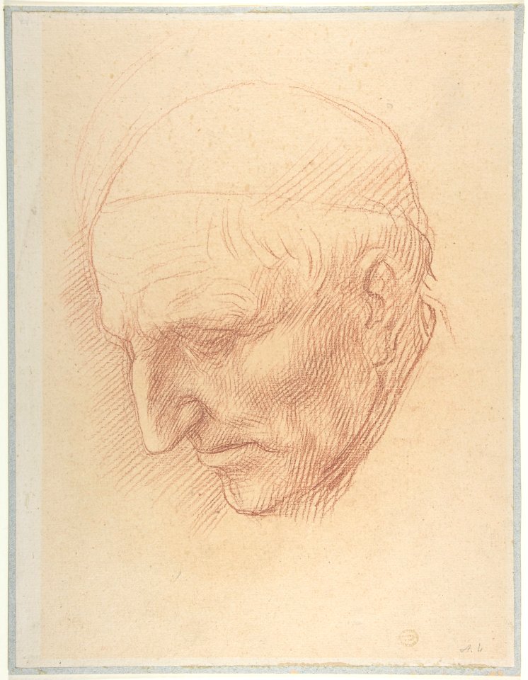 Head of a Beadle MET DP807255
