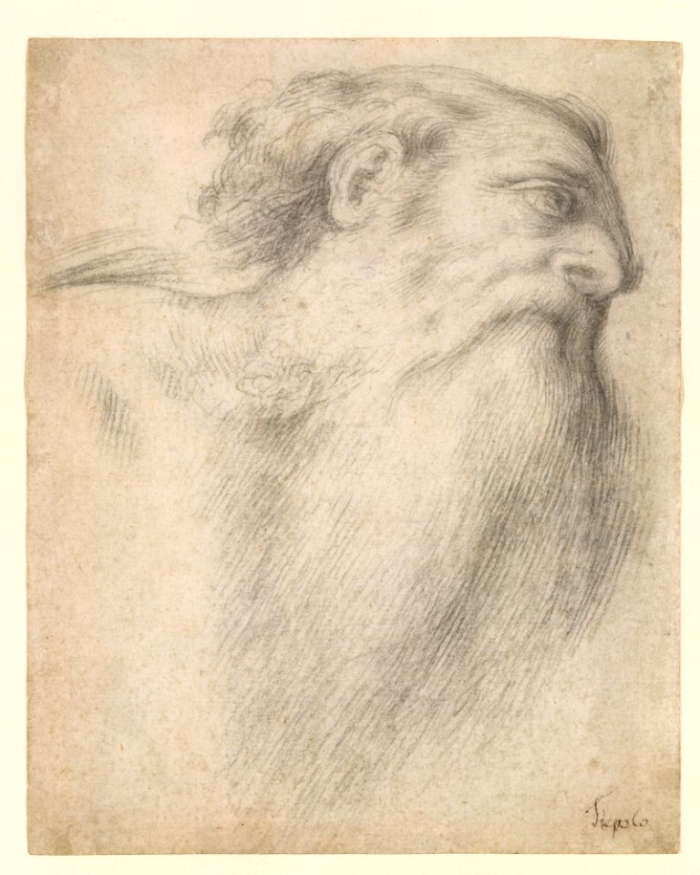 Head of a Bearded Man MET DT4073