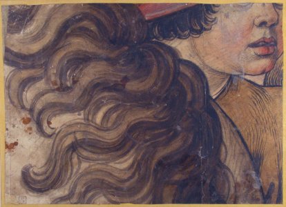 Head of a boy and section of a horse's mane MET 22.72.2