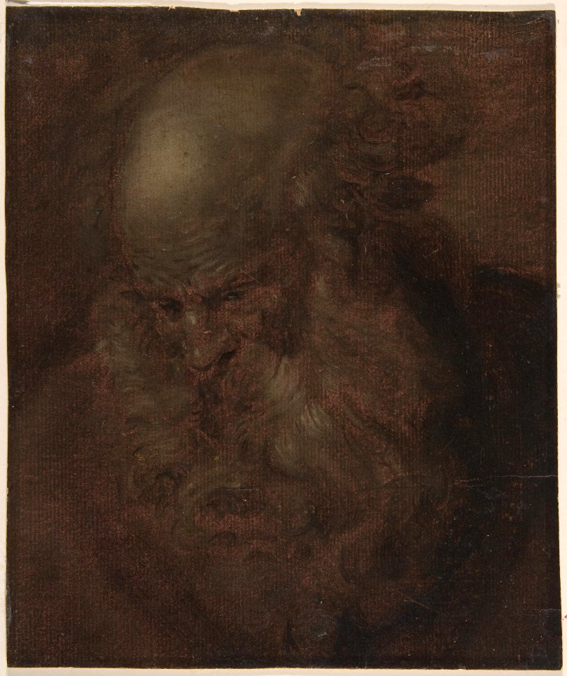 Head of a Bearded Old Man in Three-Quarter View Looking Down MET DP802399