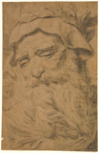 Head of a Bearded Old Man Wearing a Laurel Crown MET DP211523