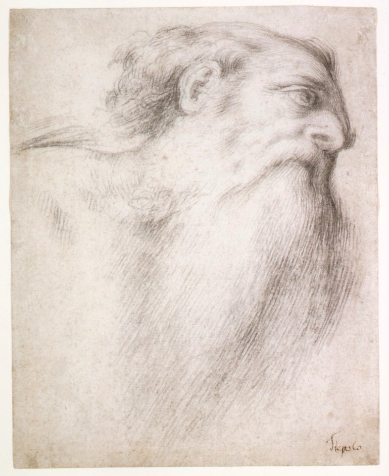 Head of a Bearded Man MET DR44