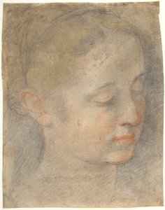 Head of a Young Woman Looking to Lower Right MET DP807829