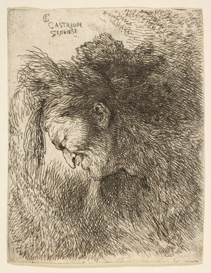Head of an old Man looking down, facing Left MET DP816537