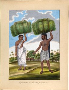 Grossmonger, in Low Cast of Malabar, from Indian Trades and Castes MET DP807533