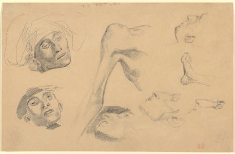 Head, Shoulder, and Foot, studies for "Scenes from the Chios Massacres" MET DP836022