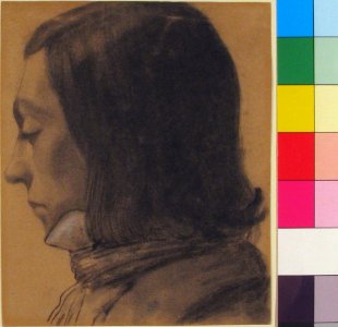 Head of a Young Man in Profile, to the Left MET 1980.451